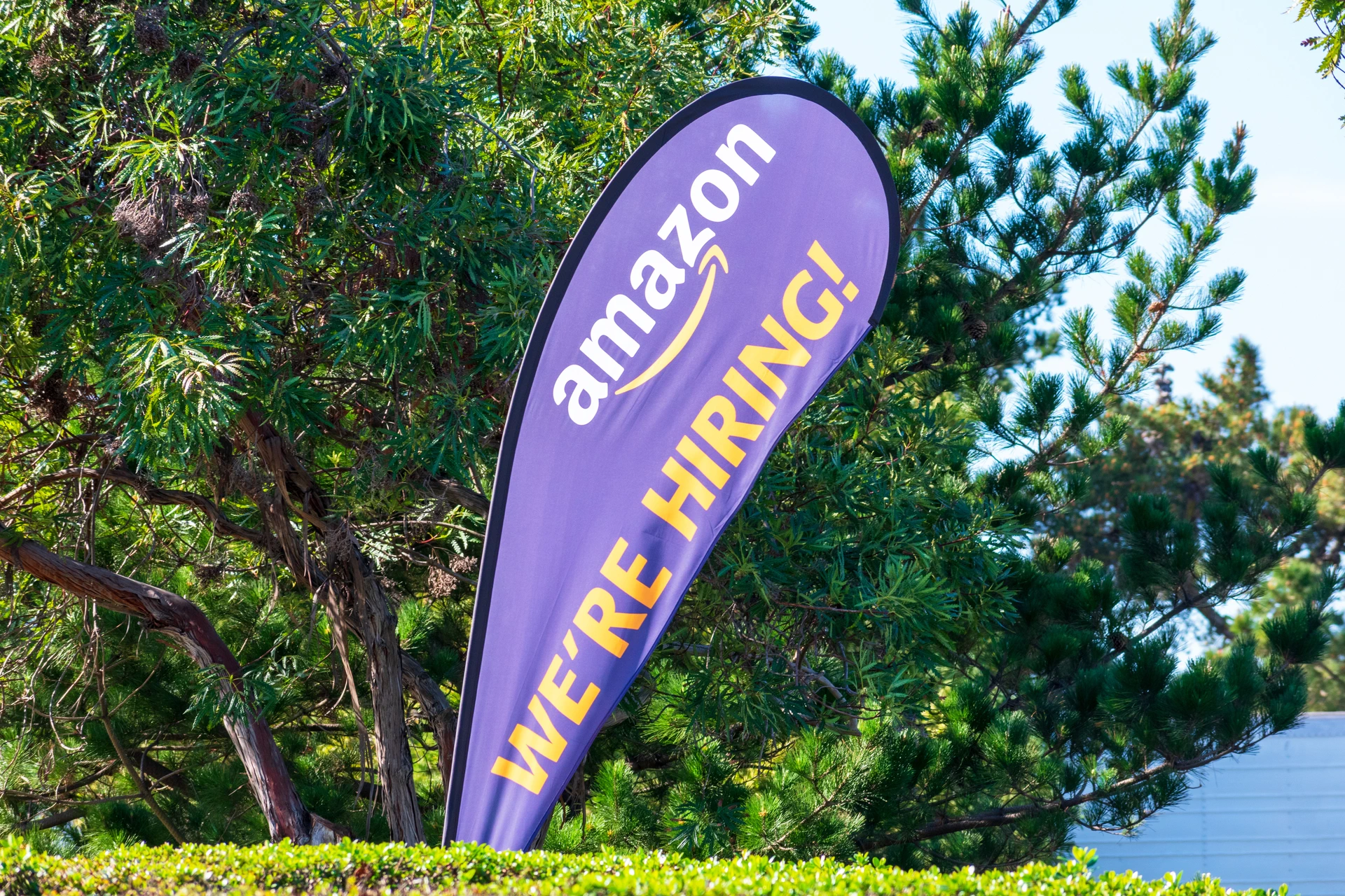 Purple Feather shaped banner flag advertising that Amazon is hiring